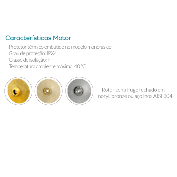 BOMBA LEPONO ACM37 1/2CV 220V (CENTRIFUGA ROTOR NORYL) - Image 3